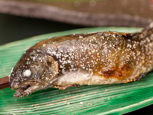 岩魚